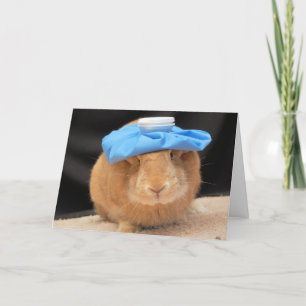 Hoppin is er in de nabije toekomst. kaart