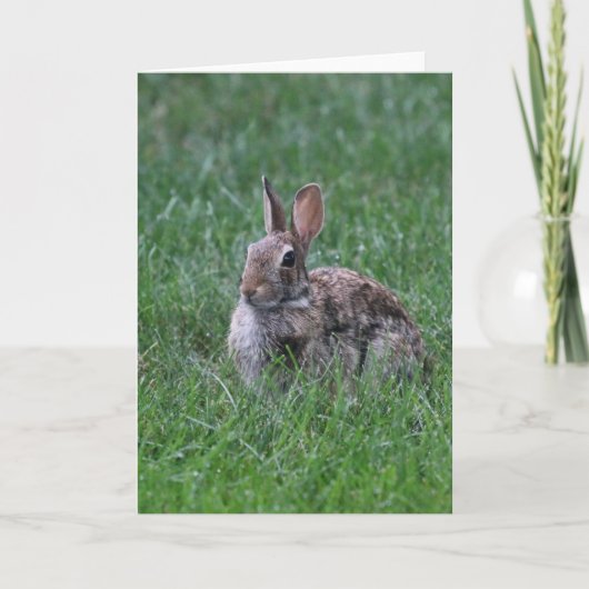 Hopping Kaart (Voorkant)
