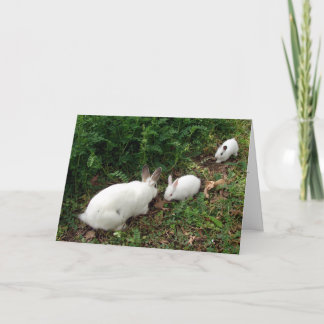 Hoppy Moederdag Kaart