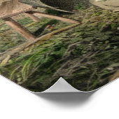 Hops Harvest 1857 Poster (Hoek)