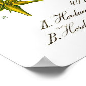 Hordeum Vulgare Poster d'orge (Coin)