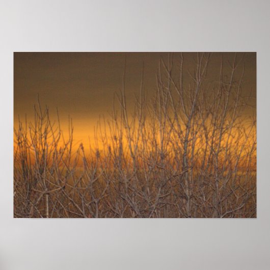 Horizon over het Poster Lake Erie (Voorkant)