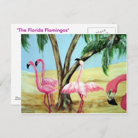 Horizonal Briefkaart "The Florida Flamingos" (Voorkant / Achterkant)