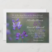 horizontaal veld Lupine-uitnodiging Kaart (Voorkant)