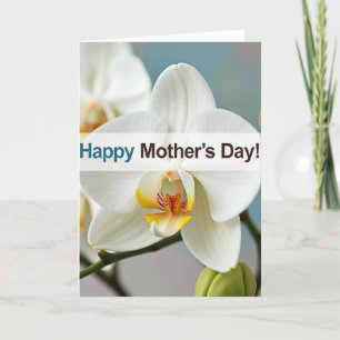 Horizontale Banner Orchidee Kaart