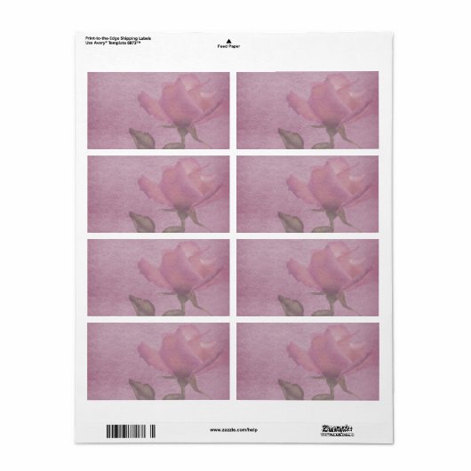 Horizontale Roze Apotheker Label (Full Sheet)