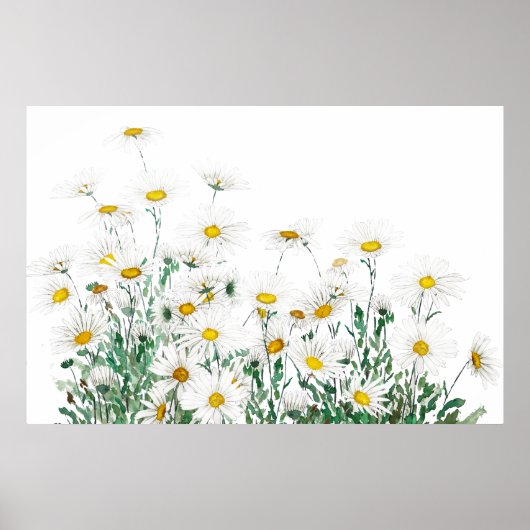 horizontale waterverf witte margaret daisy poster (Voorkant)