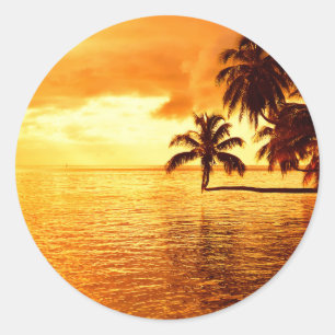 Horizontale zonneklep met palmboom ronde sticker