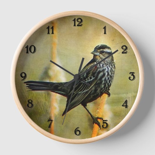 Horloge à ailes rouges (Recto)