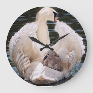Horloge à cygne