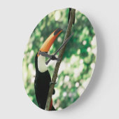 Horloge à oiseaux (Angle)