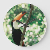 Horloge à oiseaux (Recto)