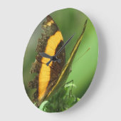 Horloge à papillon tropical jaune et noir (Angle)