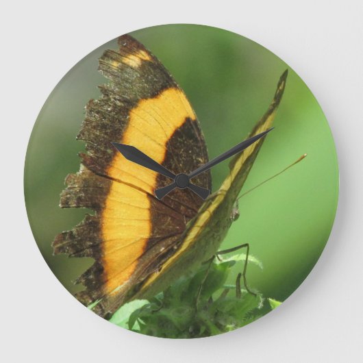 Horloge à papillon tropical jaune et noir (Recto)