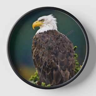 Horloge Aigle américain perché