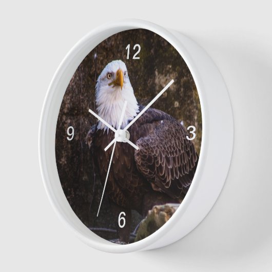 Horloge Aigle de Bald (Angle)