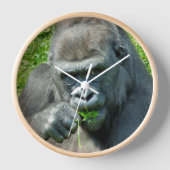 HORLOGE ANIMAUX SAUVAGES - GORILLAS (Recto)