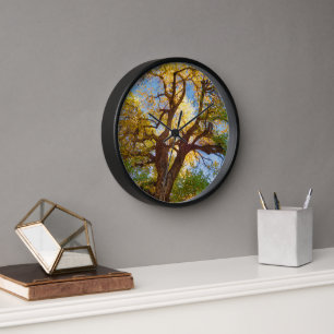 Horloge Arbre de Cottonwood Parc national de Capitol Ree
