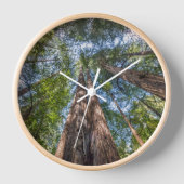 Horloge Arbres séquoias | Comté de Marin, Californie (Recto)