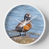 Horloge Beau canard arlequin sur les rives de la plage (Recto)