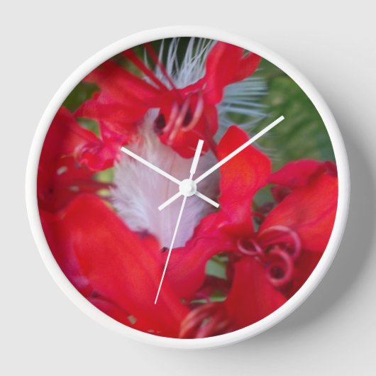 Horloge Beauté délicate : Fleur rouge avec plumes blanches (Recto)