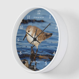 Horloge Bécasseau de Sable à sanderling mignon