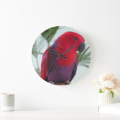Horloge belle Eclectus perroquet rouge femelle ani (Maison)