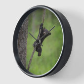 Horloge Black Bear Cub jouant sur le membre de l'arbre (Angle)