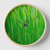 Horloge Blé vert vibrant frais (Recto)