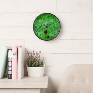 Horloge Bluebell Woodland Cute Hedgehows Spring Green