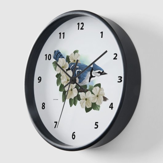 Horloge Bluejay Bird (Angle)