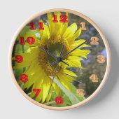 Horloge Bombe du temps de floraison (Recto)