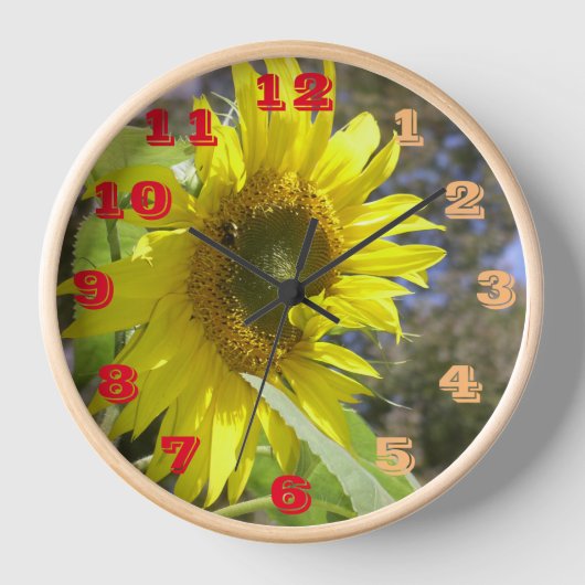 Horloge Bombe du temps de floraison (Recto)