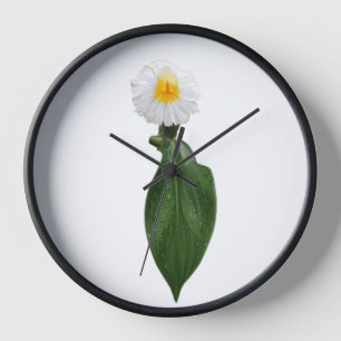 Horloge Cadran mural botanique de fleur tropicale blanche