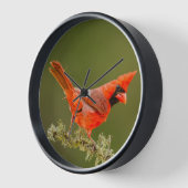 Horloge Cardinal mâle sur une branche (Angle)