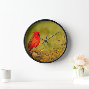 Horloge Cardinal mâle sur une bûche