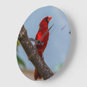 Horloge Cardinale Acrylique, Arrondie (Angle)