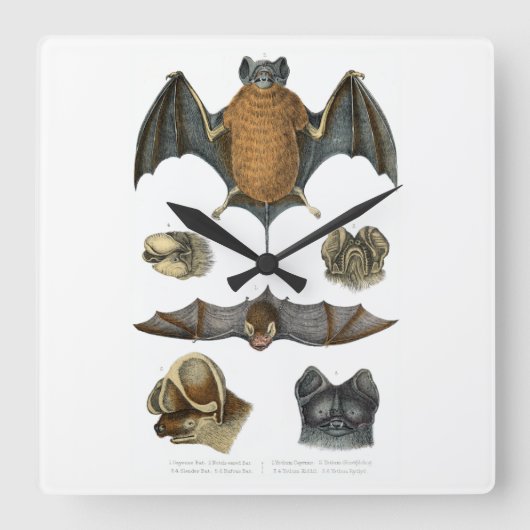 Horloge Carrée 19e impression de chaume C. (Recto)