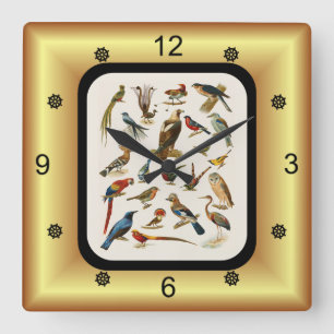 Horloge Carrée 22 Espèces d'oiseaux exotiques ~ L. Prang & Co.