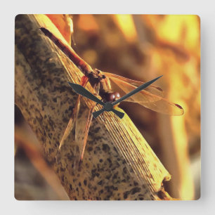 Horloge Carrée 534424932Elegant Red Darter Dragonfly Insect Art