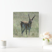 Horloge Carrée A13 Pronghorn Antelope Buck (Maison)