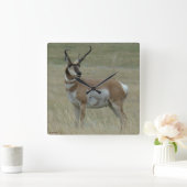 Horloge Carrée A37 Pronghorn Antelope Crooked Horns (Maison)
