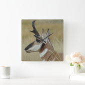 Horloge Carrée A4 Pronghorn Antelope Head Shot Profile (Maison)