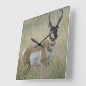 Horloge Carrée A8 Pronghorn Antelope (Angle)