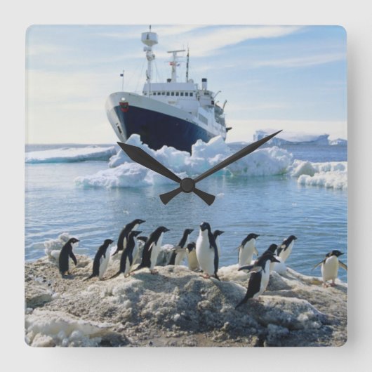 Horloge Carrée A Group of Penguins Standing On An Icy Beach (Recto)