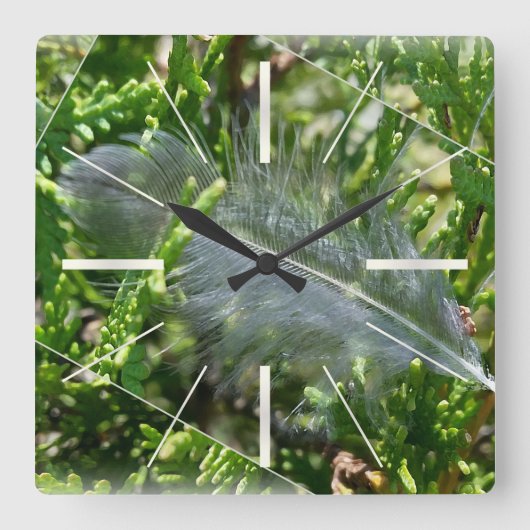 Horloge Carrée A stray feather (Recto)