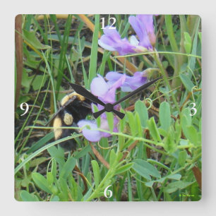 Horloge Carrée Abeille sauvage F2 sur des fleurs sauvages violett