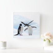 Horloge Carrée Adelie Penguins (Maison)