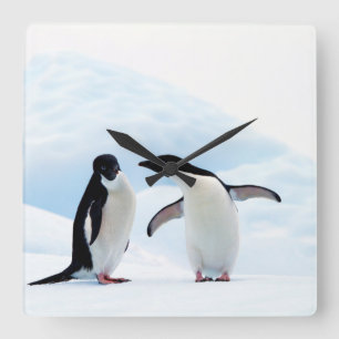 Horloge Carrée Adelie Penguins