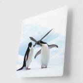 Horloge Carrée Adelie Penguins (Angle)